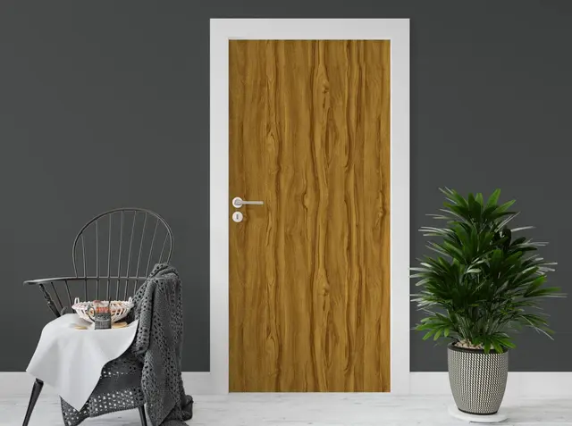 30MM Holo UPVC Door Demo